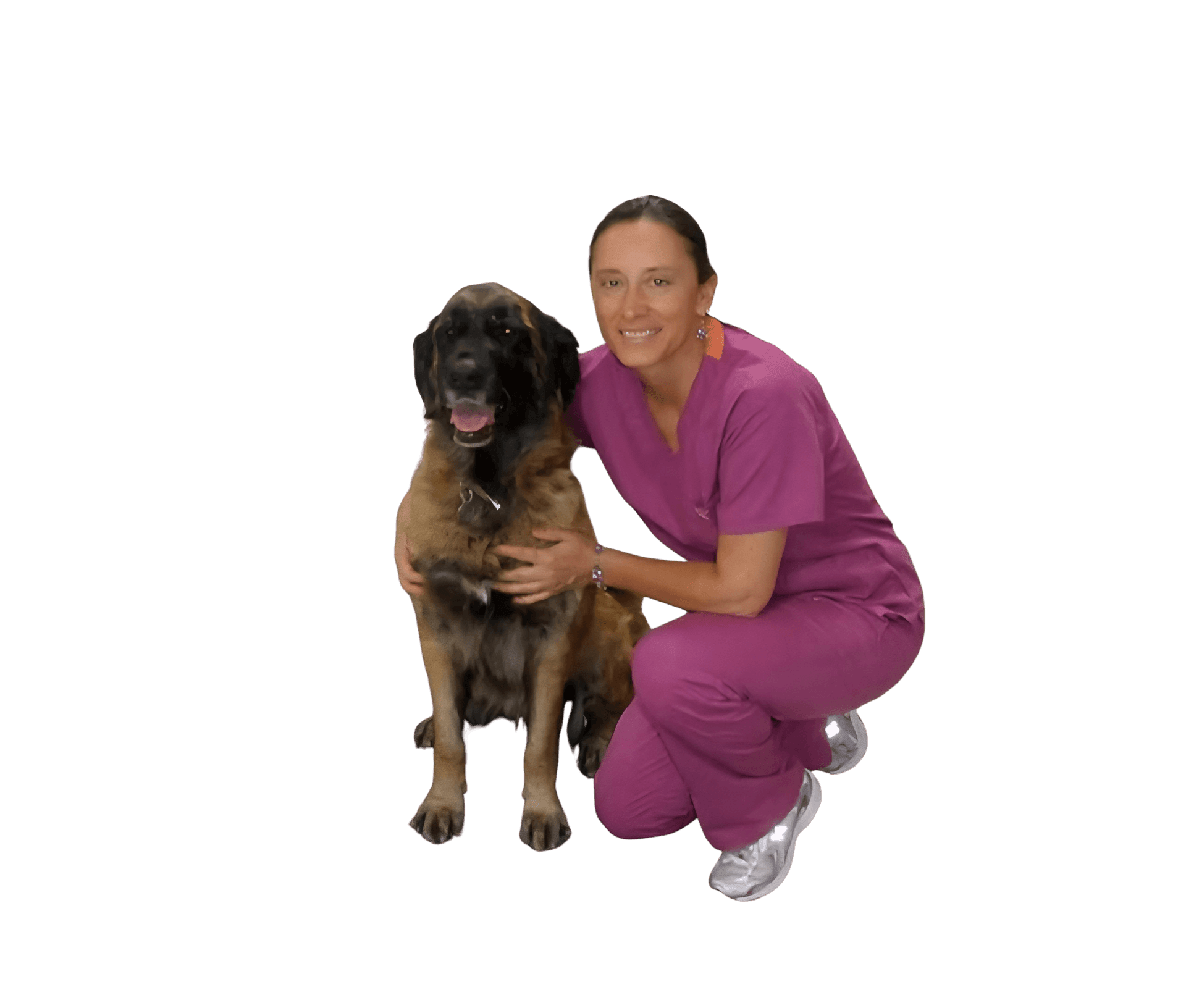 Dr. Signe Beebe, DVM, CTCVMP